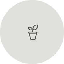 Img with txt 4