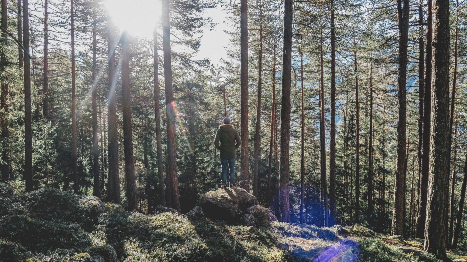 paul gilmore erzRtVq8Wec unsplash 1536x864 1